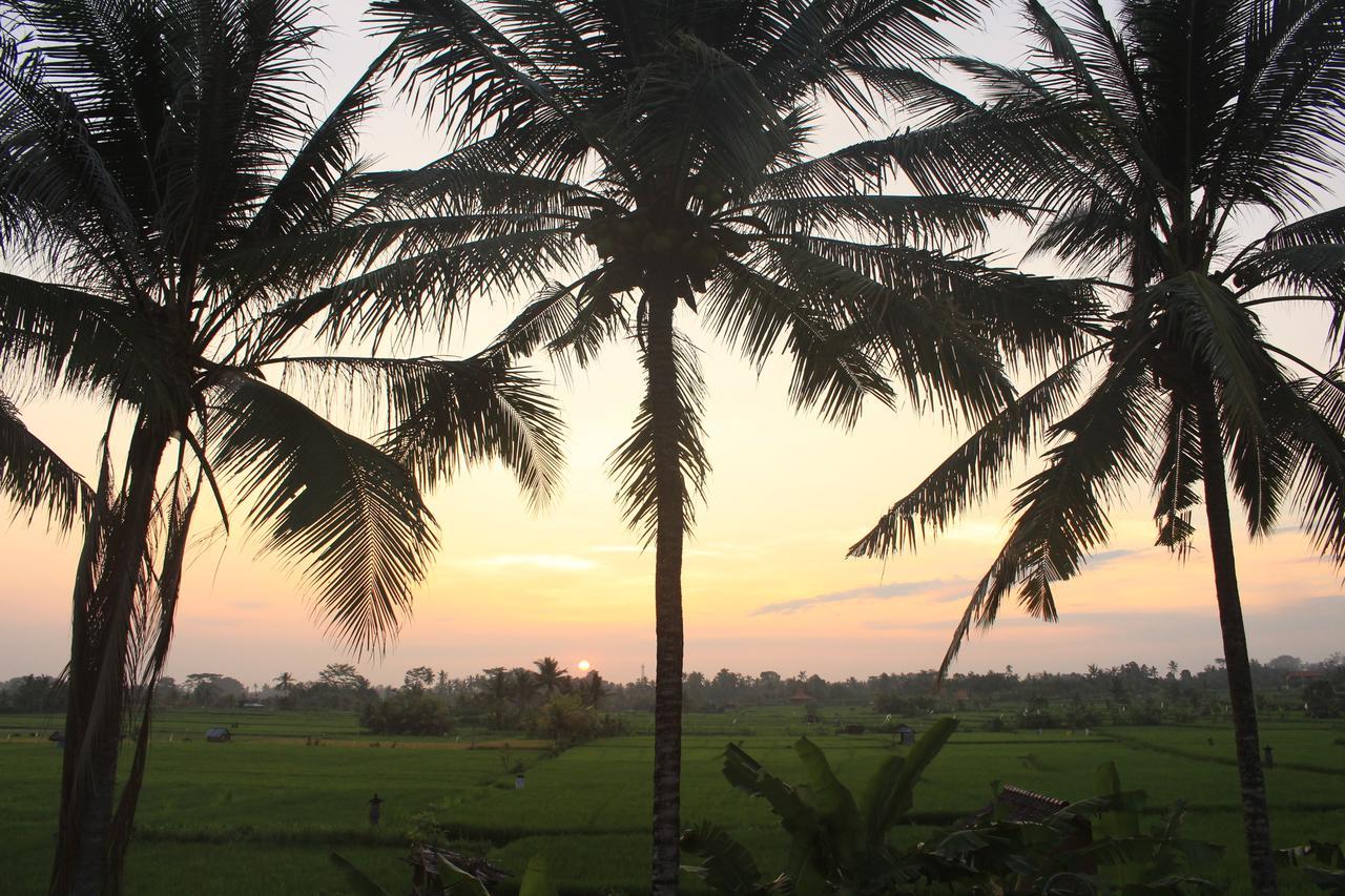 Uma Capung Mas Cottage Ubud  Bagian luar foto